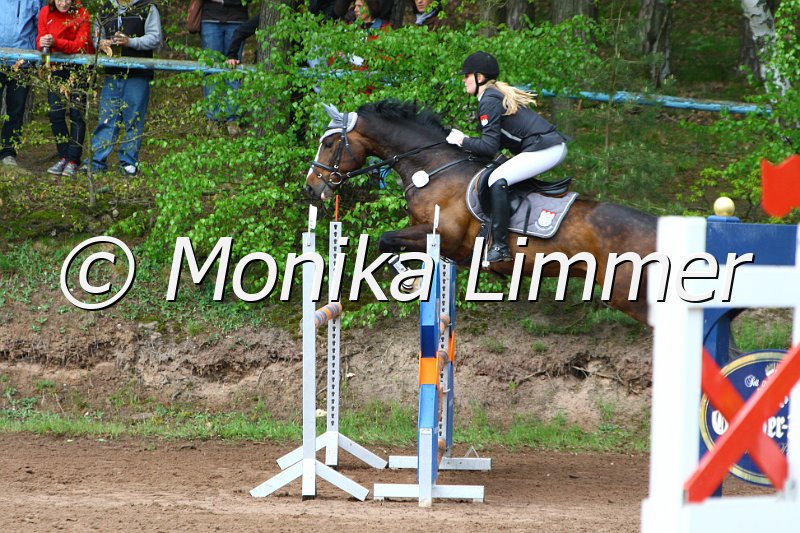 005L5373_Lord of Rose_Spring M mit Stechen.JPG